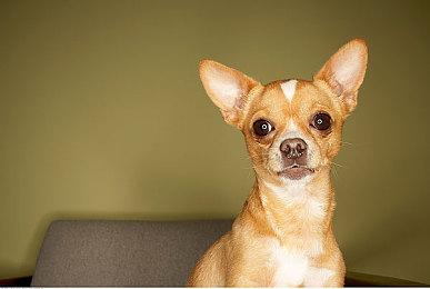 粉丝虚幻5自制《恶魔城2：诅咒的封印》 视频展示